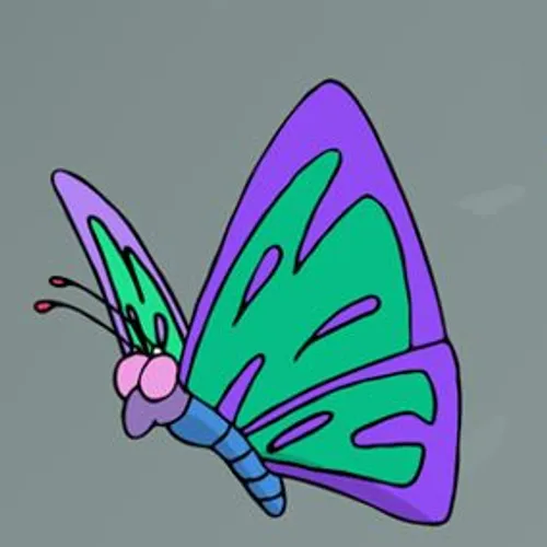Butterfly